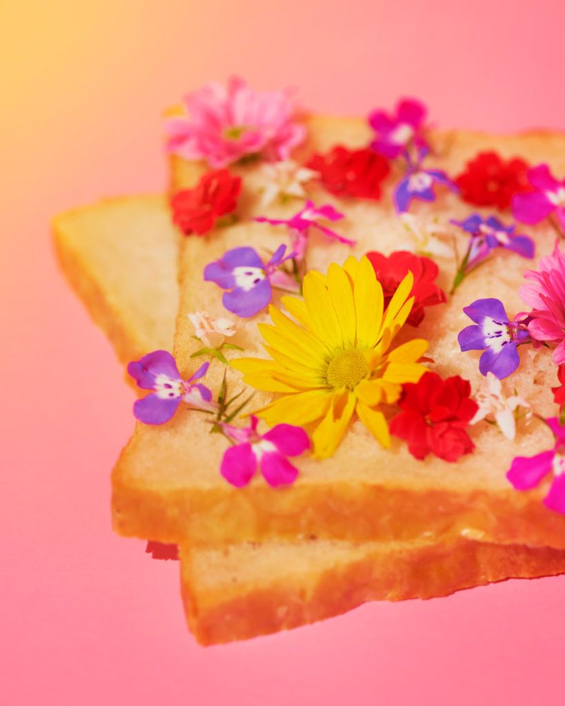 Camille et charlotte dame tartine