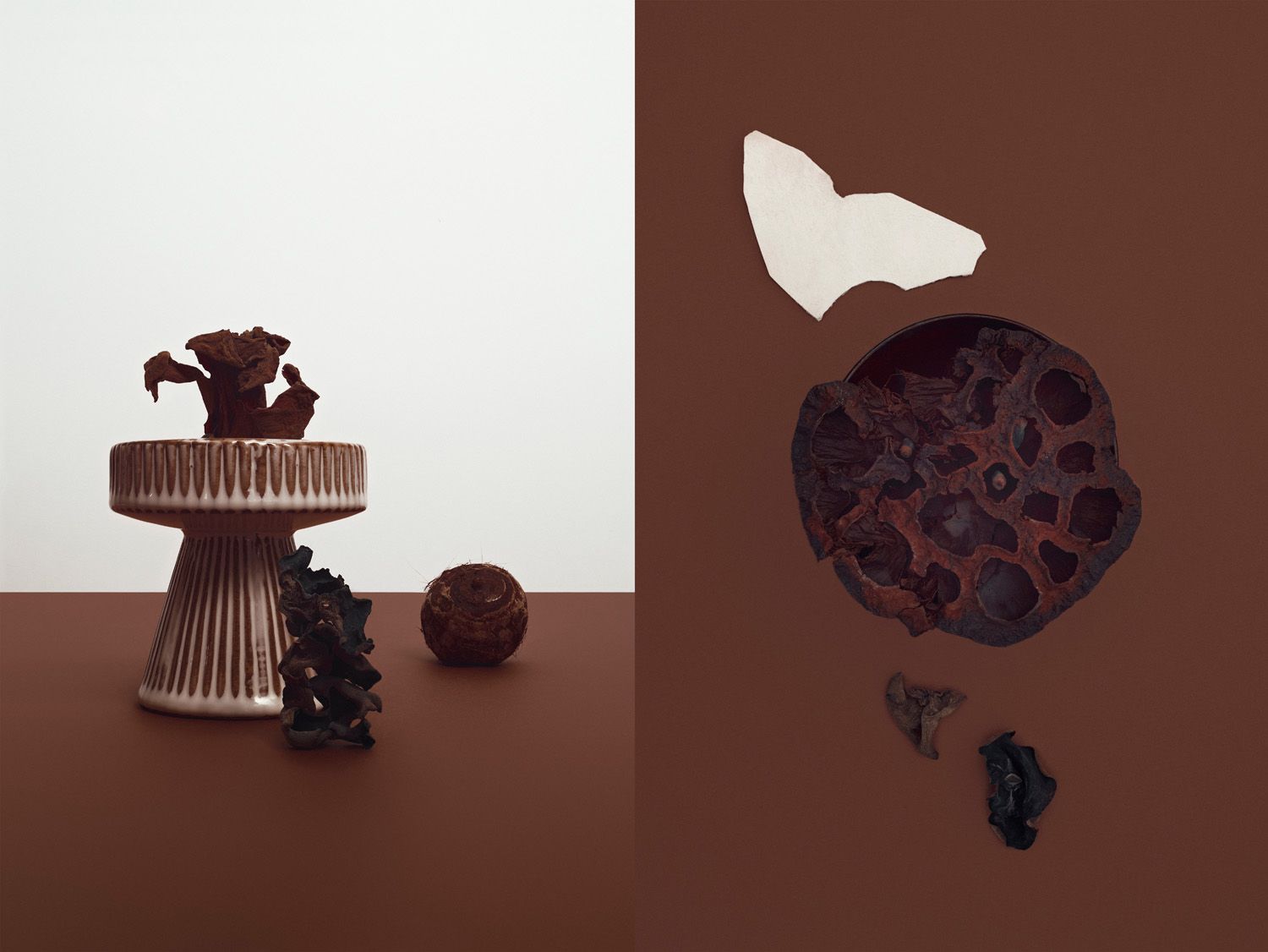 Camille et charlotte monochromes diptyques bd