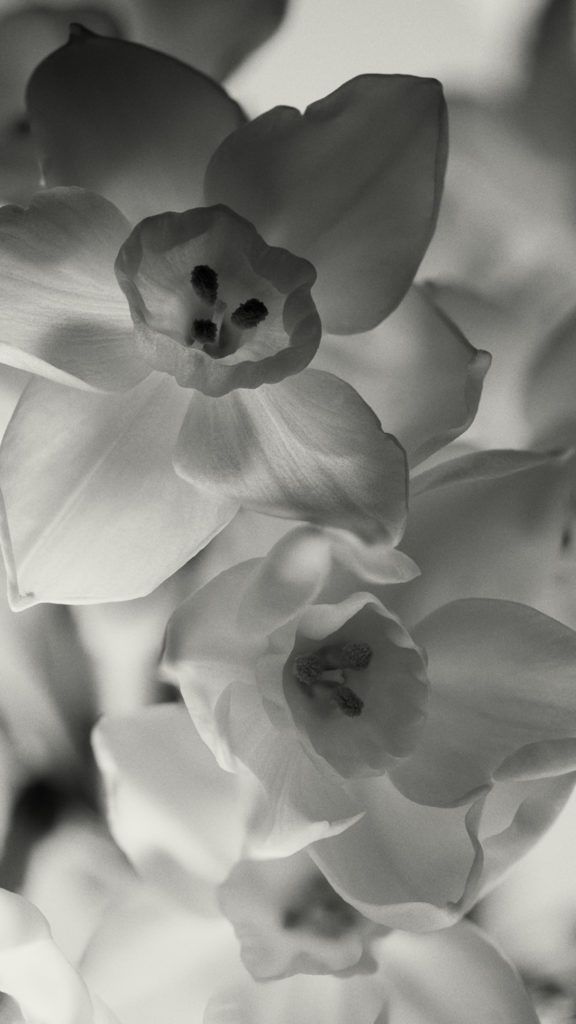 Stacked from images method=b r= ,s=