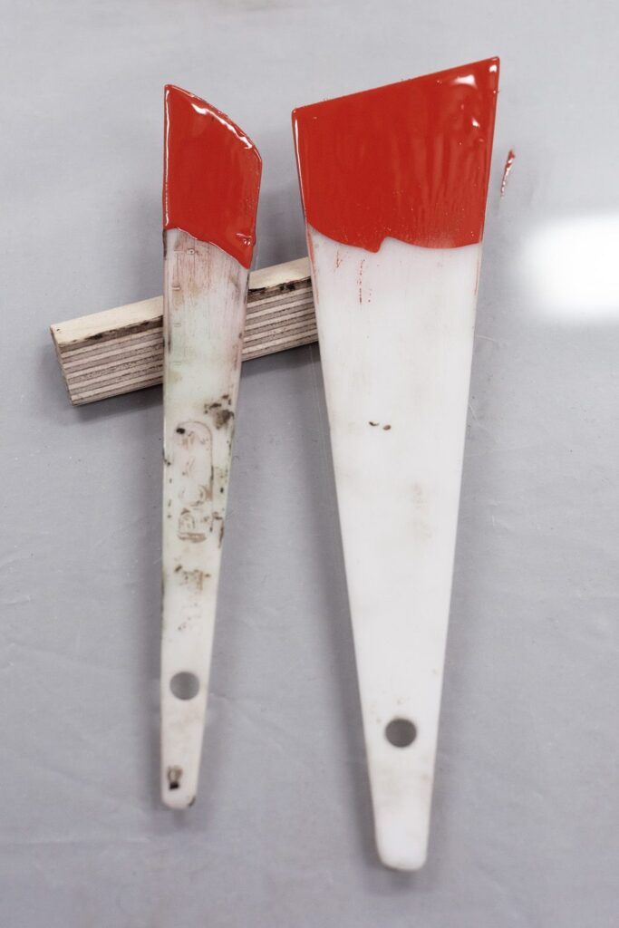 Chimaeriformes camille et charlotte nicolas pinon