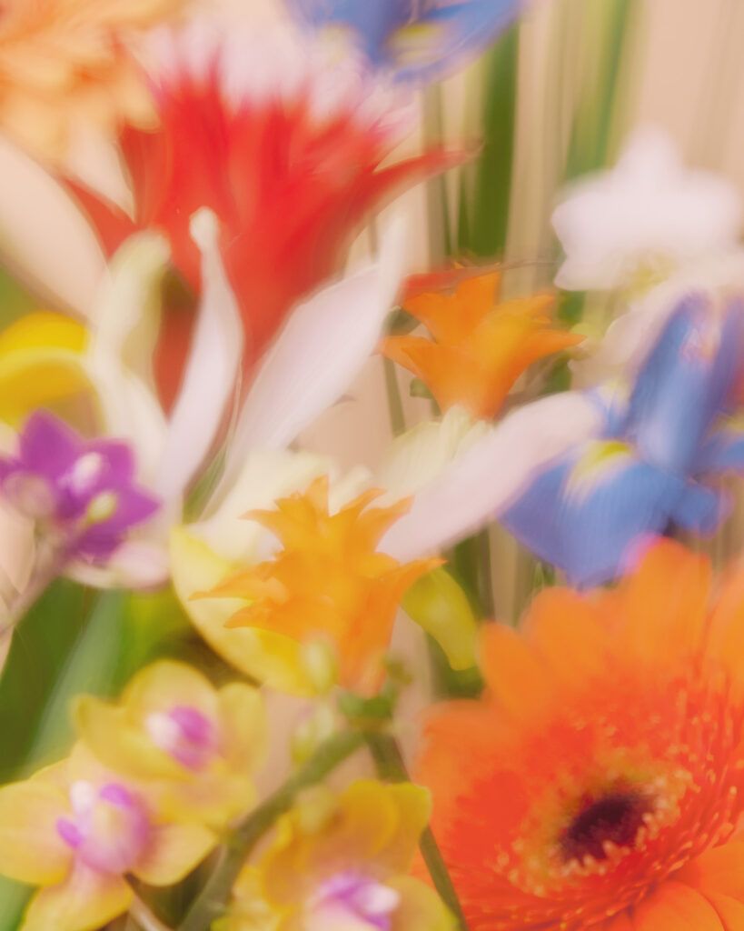 camille et charlotte dcmrdielt